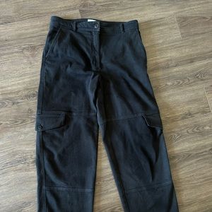 Aritzia Wilfred Free cargo pants